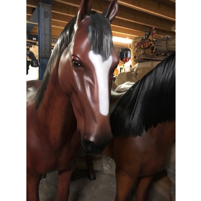 Horse Life Size – Paard 210 / 256 cm - levensgroot, Ophalen, Nieuw, Paard