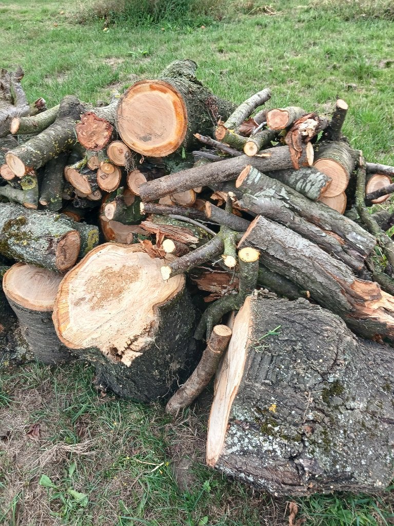 Hout, Ophalen