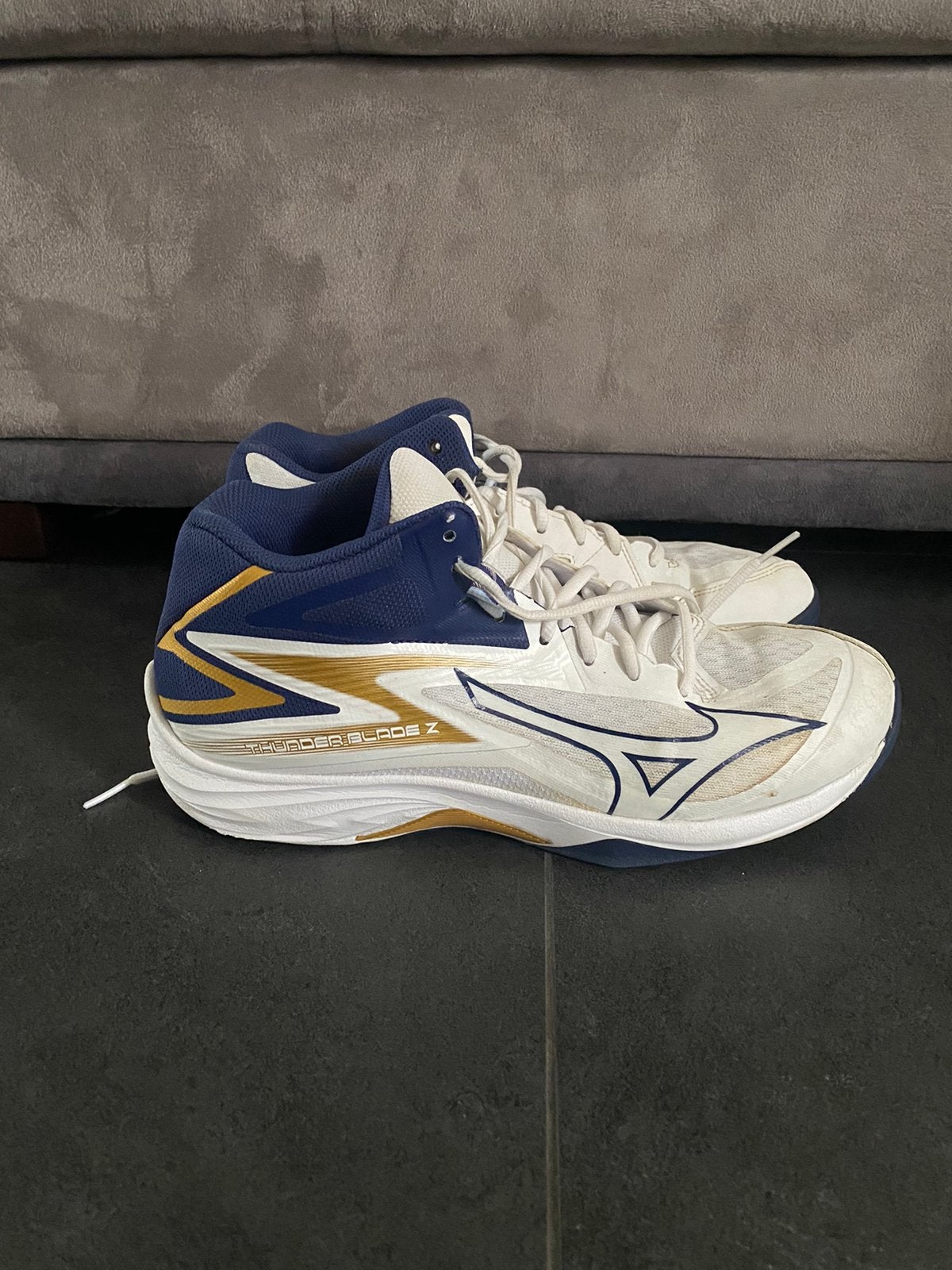 Chaussures Volleyball Mizuno (43), Enlèvement ou Envoi, Comme neuf, Chaussures