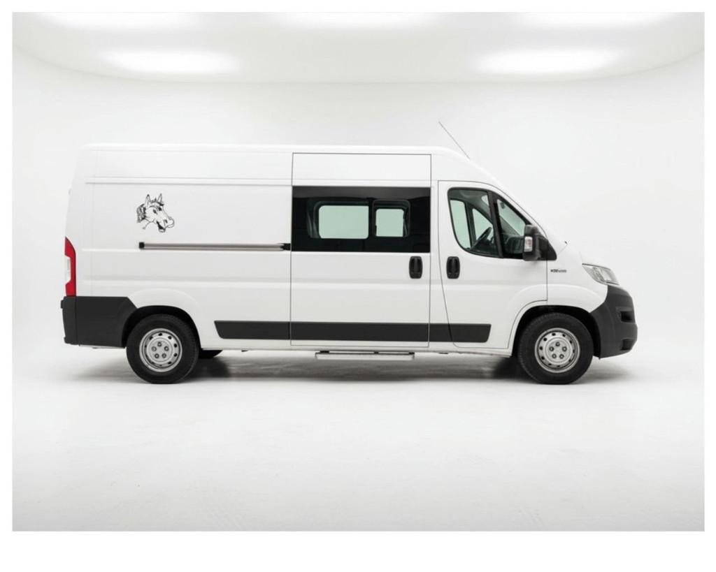 Fiat Ducato (année de construction 2018, automatique), Autos, 177 g/km, Achat, Entreprise, 7 places