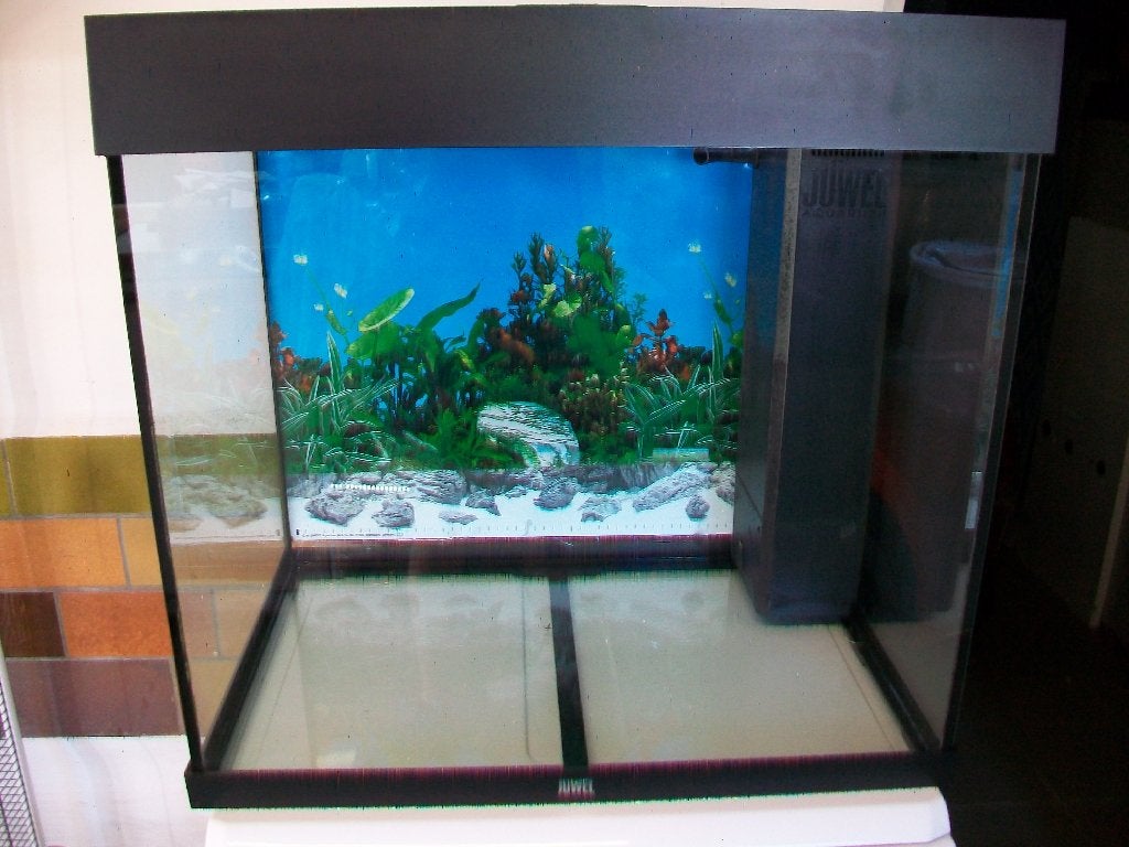 juwel aquarium lido 120 led zwart, Enlèvement, Utilisé, Aquarium vide, Juwel