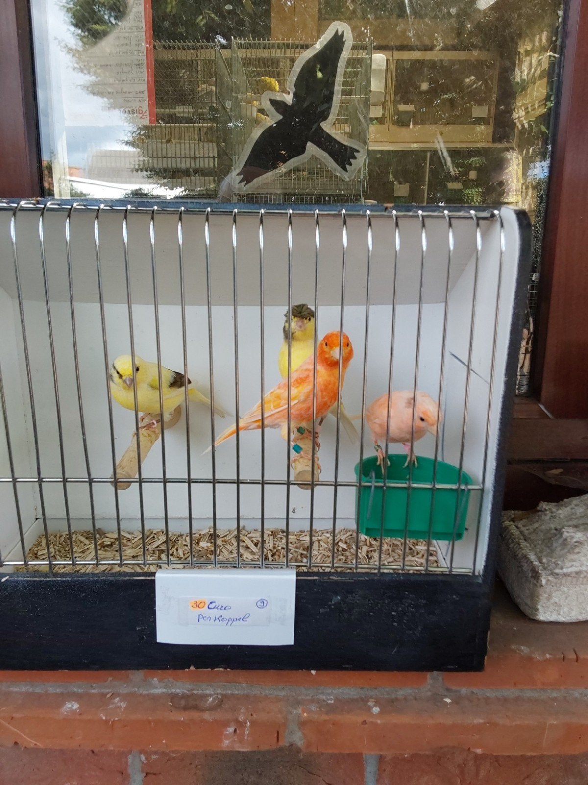 kanaries, Dieren en Toebehoren