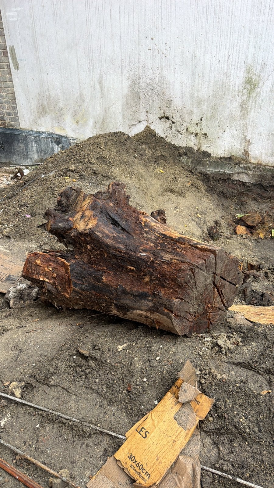 jardin - souche d'arbre à couper en morceaux, Enlèvement, Utilisé