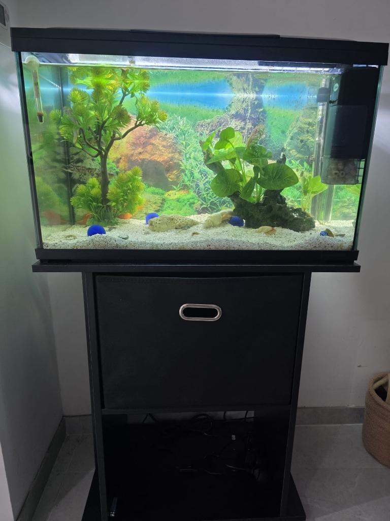 aquarium voor vissen, Ophalen of Verzenden, Zo goed als nieuw, Leeg aquarium