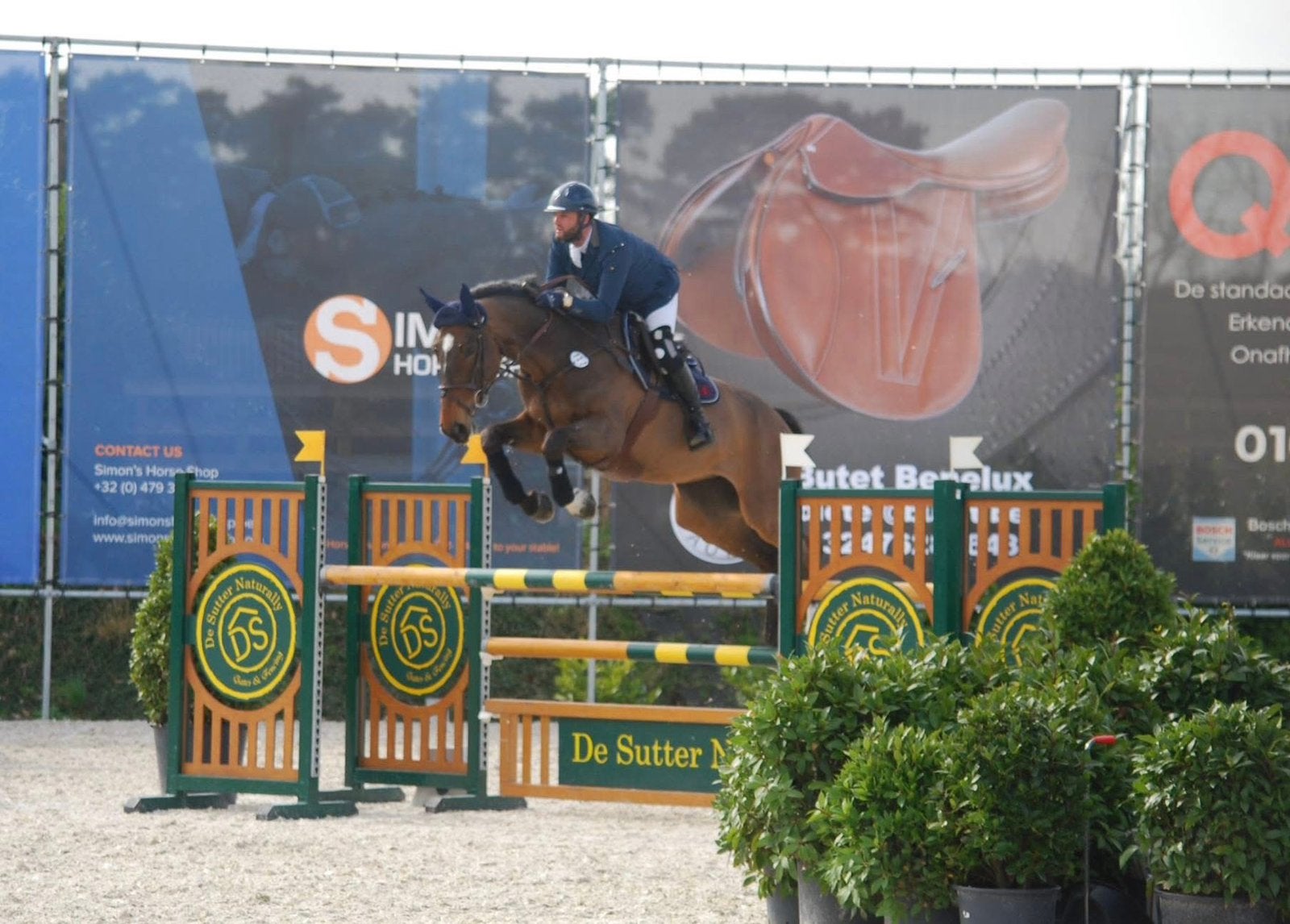 16-jarige Fokmerrie (Nabab x Impuls), Animaux & Accessoires, Chevaux, ZZ, 175 cm ou plus, 11 ans ou plus, Avec pedigree