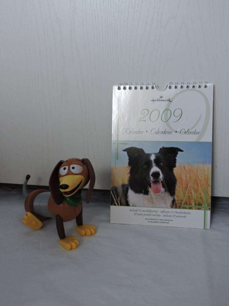Calendrier cartes postales Chiens 2009 NEUF, Divers, Calendriers, Enlèvement ou Envoi, Calendrier mensuel, Neuf