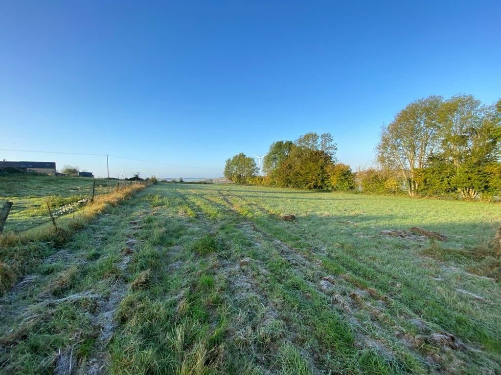 Bouwgrond van 4752m2 Frankrijk, Immo, Neuville lez Beaulieu france, Verkoop zonder makelaar, 1500 m² of meer