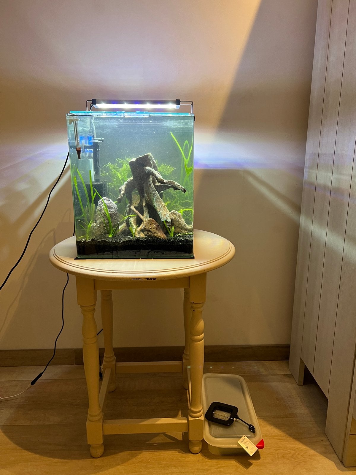 Volledig aquarium met gebogen randen 30l, Ophalen, Pomp, Gebruikt, Gevuld zoetwateraquarium