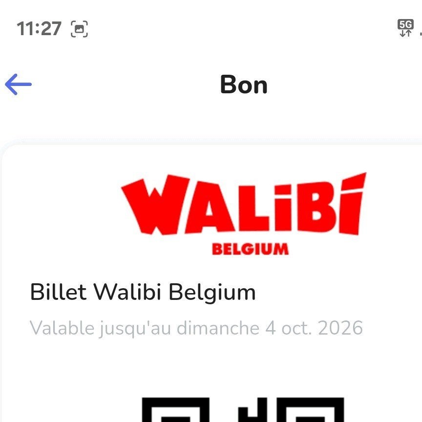 entrée walibi belgium, Une personne, Autres, Parc d'attractions