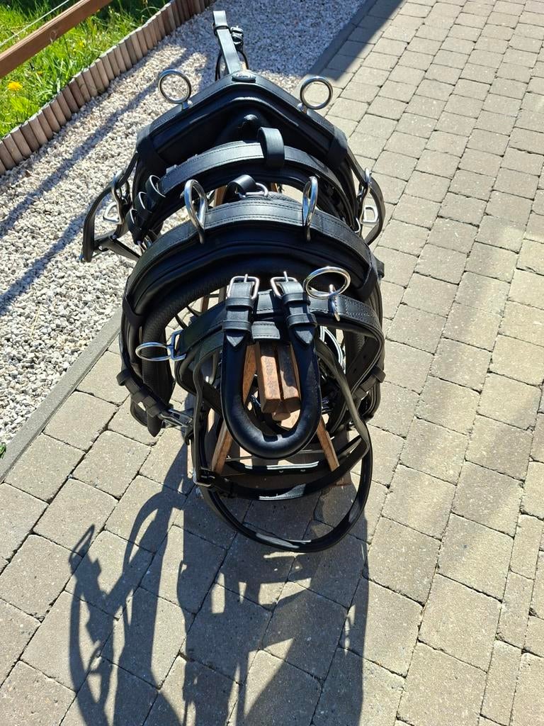 Tuig cob ideal leder  Nieuw nooit gebruikt, Dieren en Toebehoren, Paarden en Pony's | Hoofdstellen en Tuigage, Ophalen