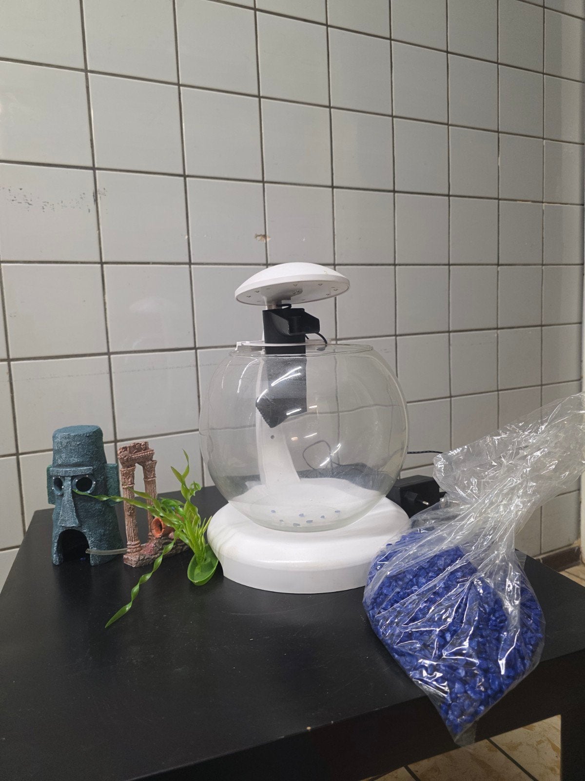 aquarium bol, Dieren en Toebehoren, Ophalen, Gebruikt, Leeg aquarium, Tetra