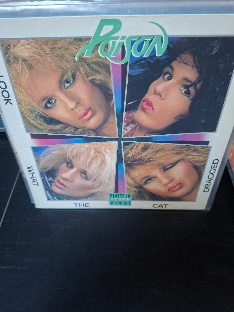 lp - poison - look what the cat dragged in - white - bak 4, LP, Gebruikt, Originele persing, Ophalen of Verzenden