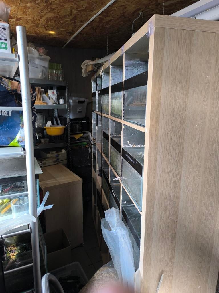 Aquarium stelling, Dieren en Toebehoren, Vissen | Aquaria en Toebehoren, Ophalen, Inclusief toebehoren, Gebruikt, Gevuld zoetwateraquarium