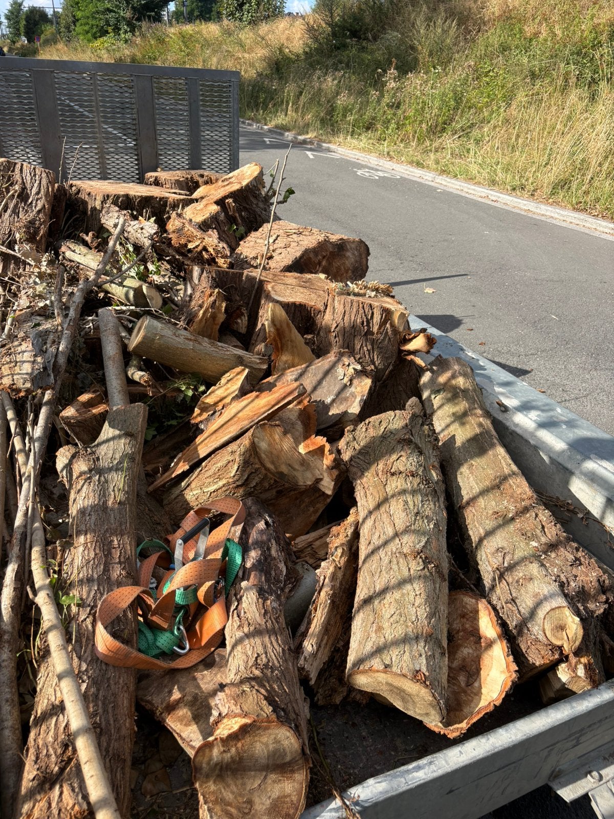 Populieren hout, Ophalen