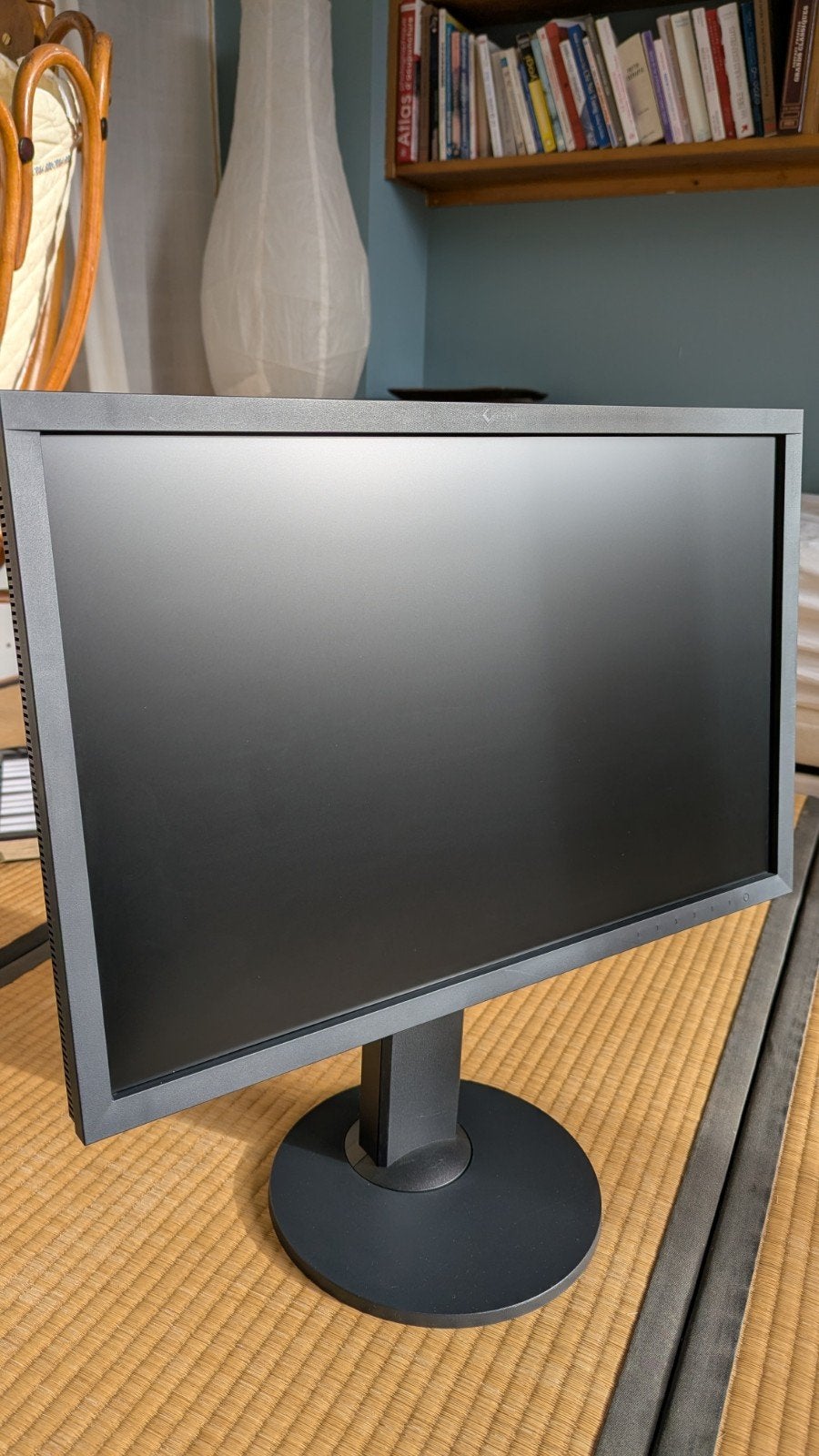 EIZO CS2420 (professionele monitor van 24 inch), Computers en Software, Ophalen, Gebruikt, IPS, Eizo