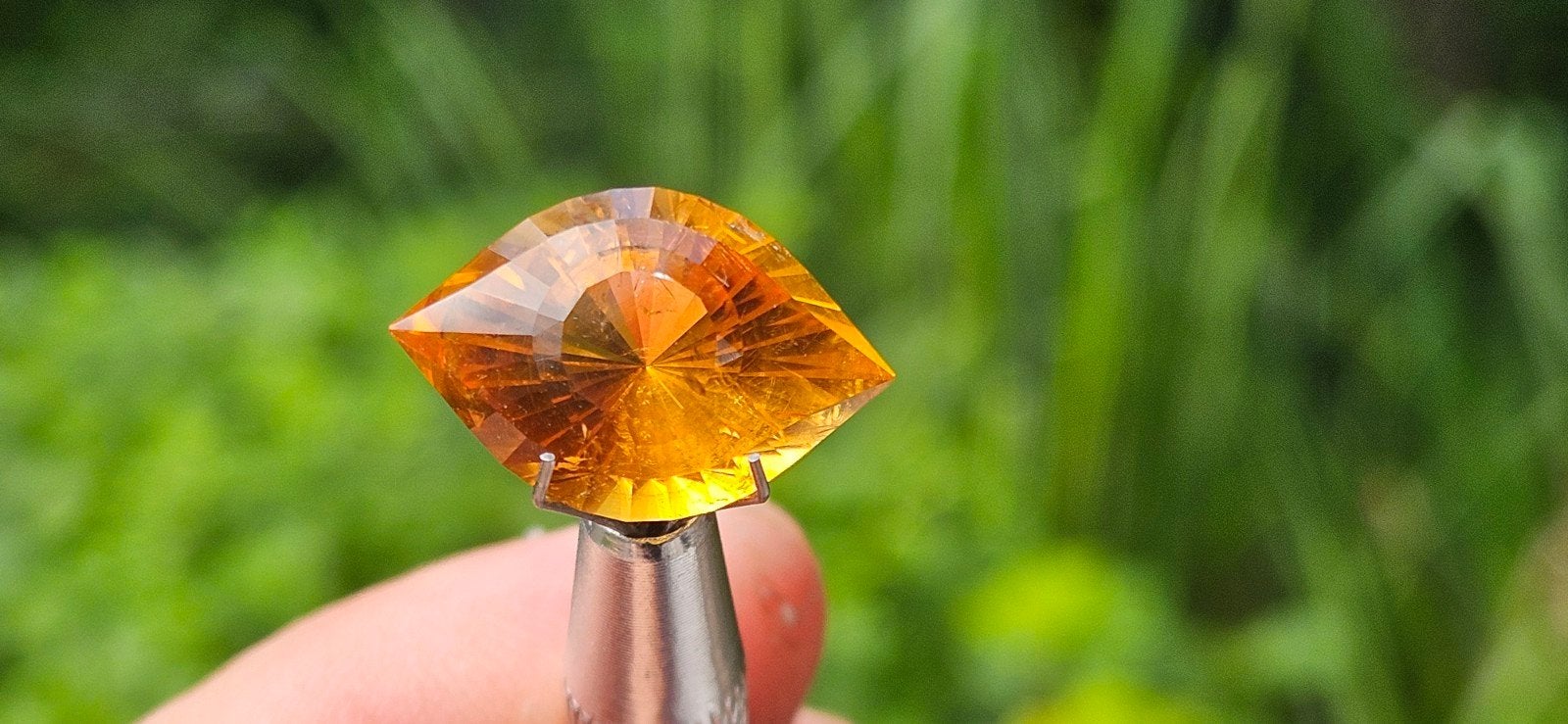 Cleopatra's Oog Citrien 12.6 ct
Magnificen, Ophalen, Nieuw
