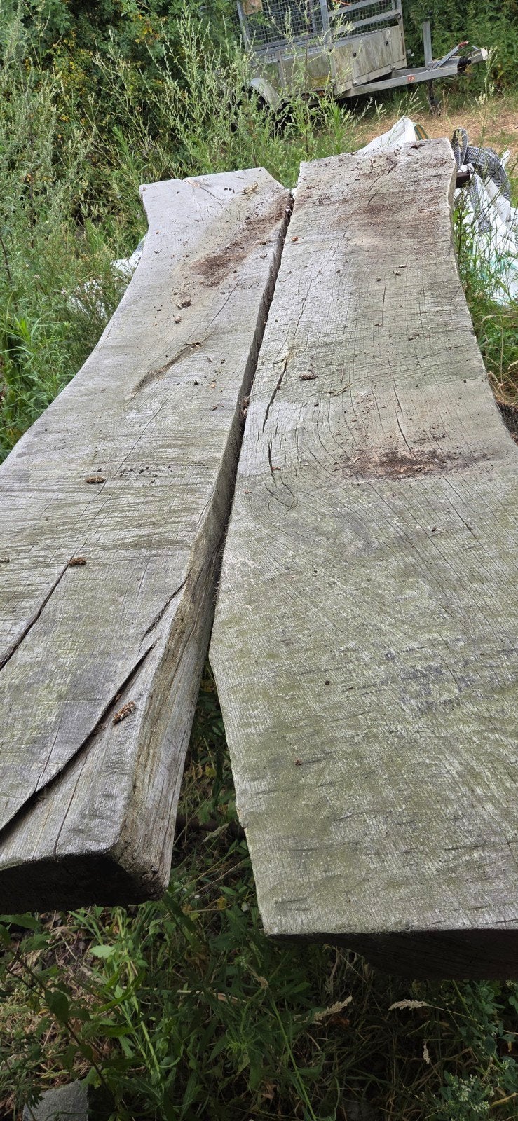 Boomstamtafel nog af te werken., Doe-het-zelf en Bouw, Ophalen