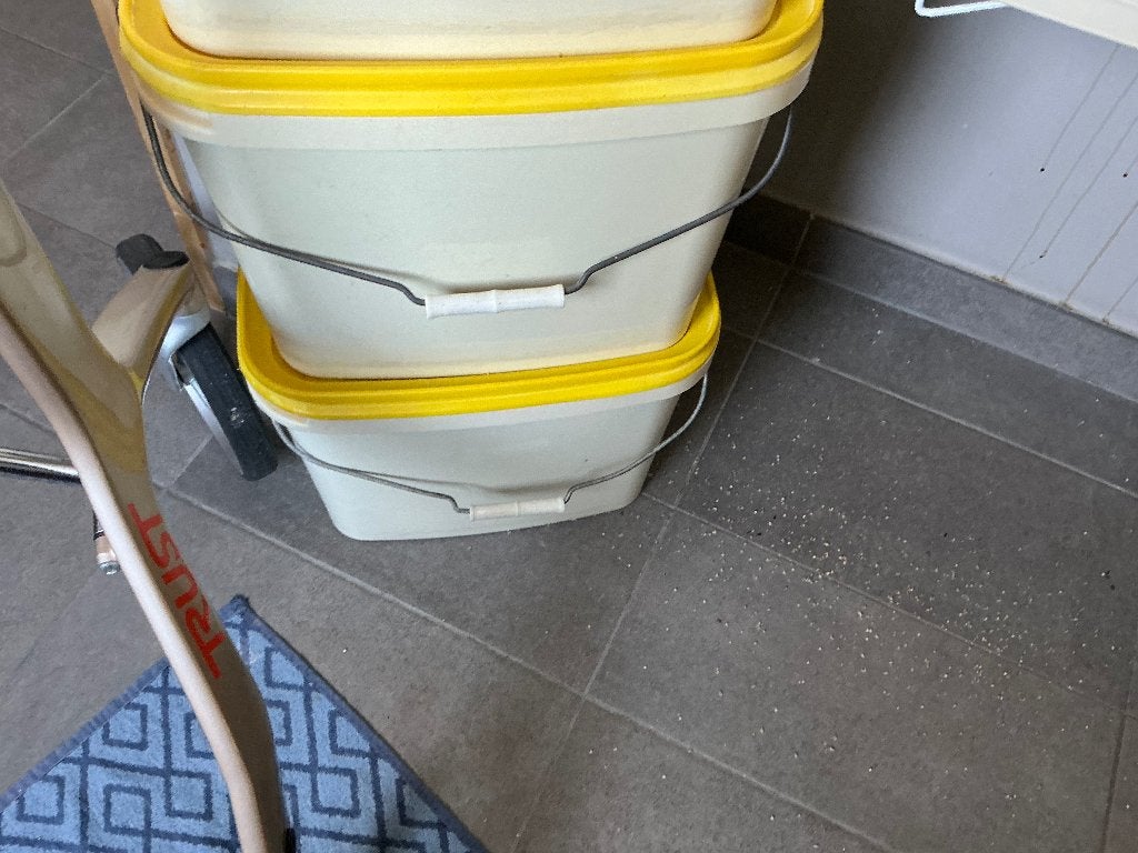 Gezocht paar ovale Quiko emmers, Animaux & Accessoires, Sexe inconnu, Oiseau tropical