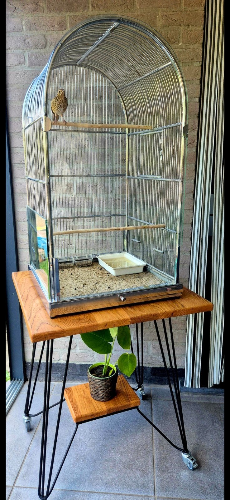vogelkooi met glas Inclusief tafel, Ophalen, Vogelkooi