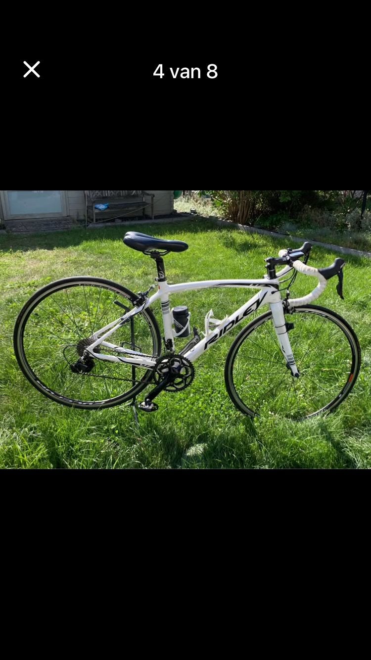 Ridley liz c70 carbon, Ophalen, Zo goed als nieuw, Carbon, 28 inch
