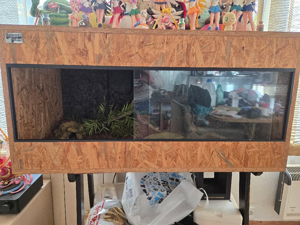 Terrarium, Animaux & Accessoires, Enlèvement, Neuf, Branche, Plante, Roche ou Pierre
