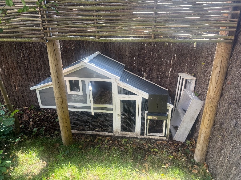 Kippenhok met automatische deur, Animaux & Accessoires, Enlèvement, Utilisé, Poulailler