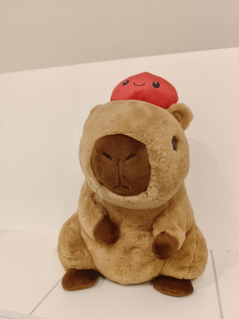 Capybara XL, Enlèvement ou Envoi