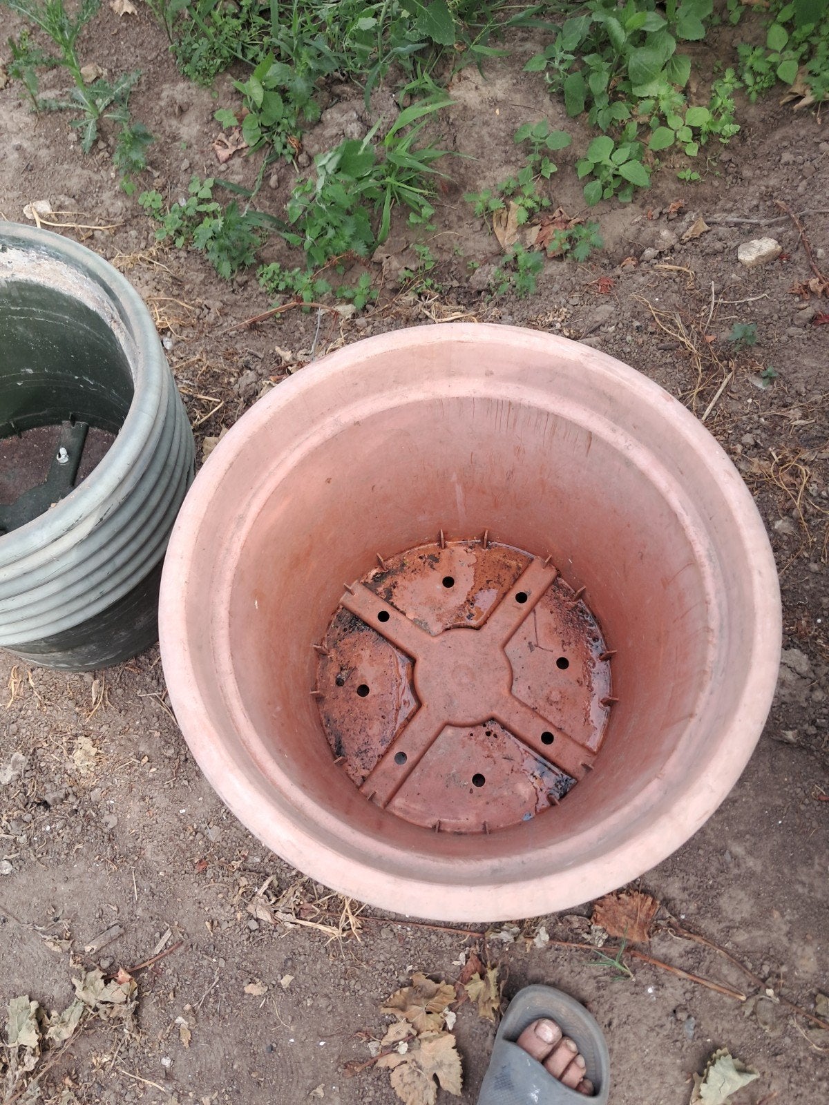 pots de fleurs., Enlèvement