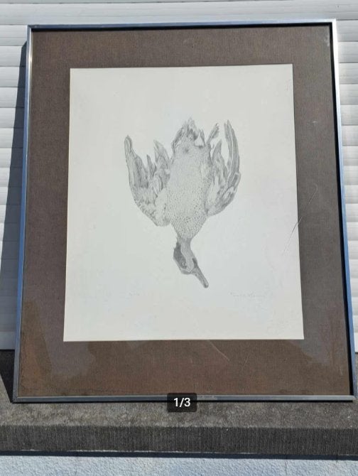 Lithographie oiseaux mort signe paul georges klein, Antiquités & Art, Enlèvement ou Envoi, Lithographie