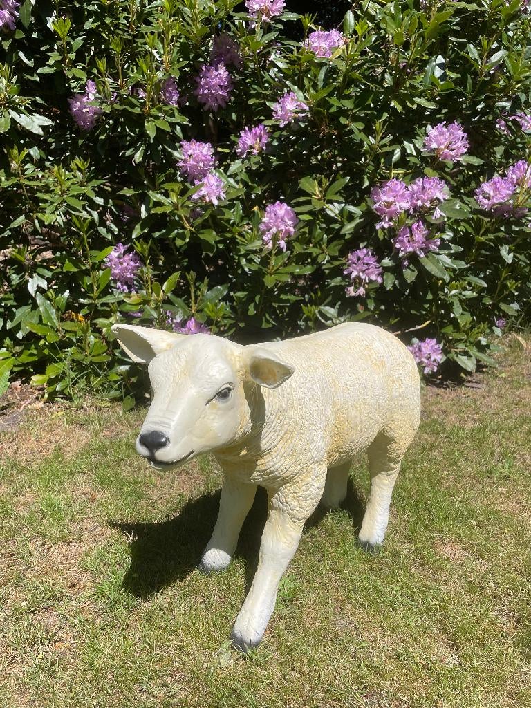Image : texel, mouton, agneau, jardin, ferme, 60 cm, Enlèvement, Neuf, Synthétique, Animal