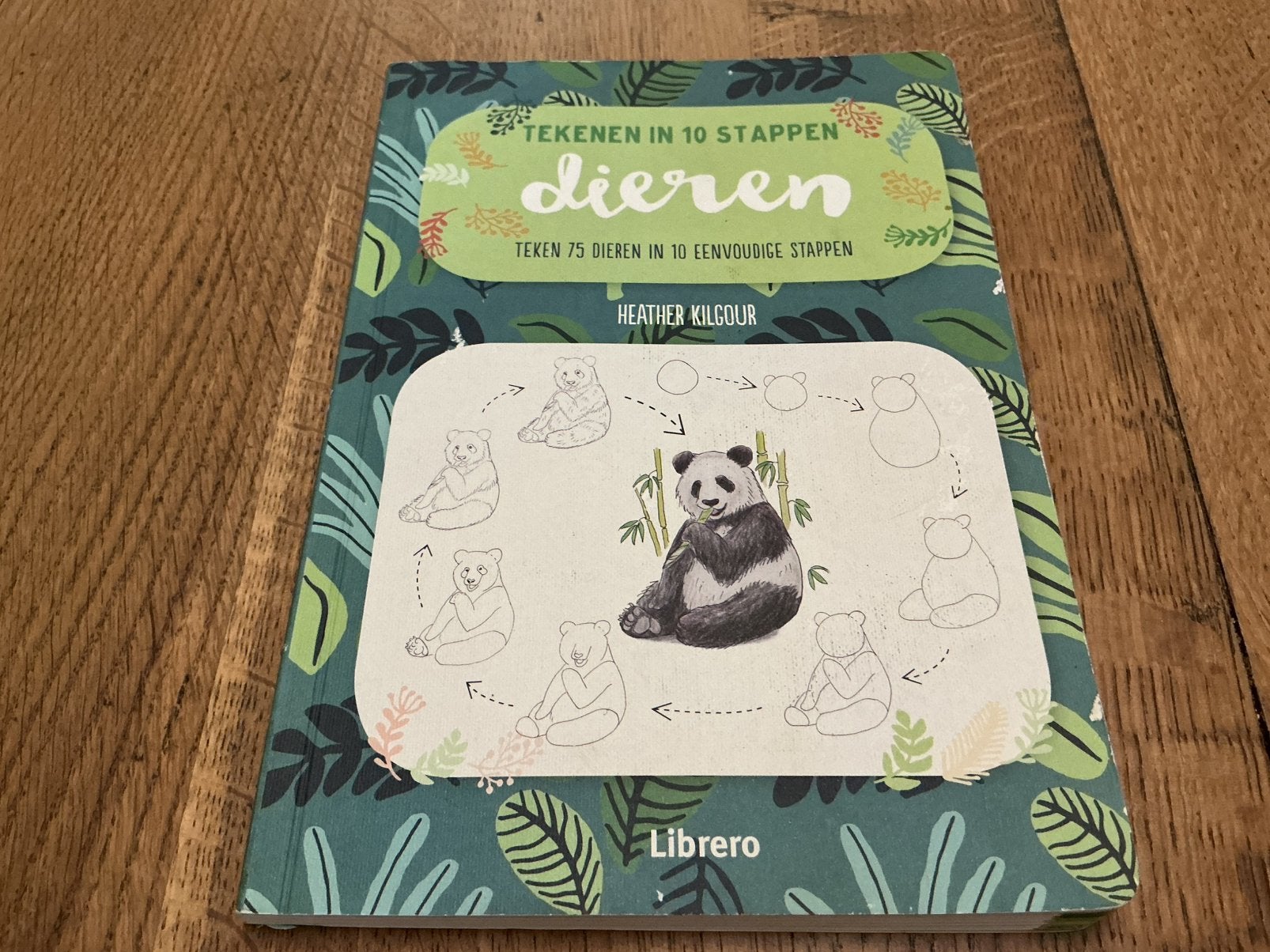 Heather Kilgour - Dieren tekenen in 10 stappen, Livres, Loisirs & Temps libre, Heather Kilgour, Enlèvement, Utilisé, Dessin et Peinture