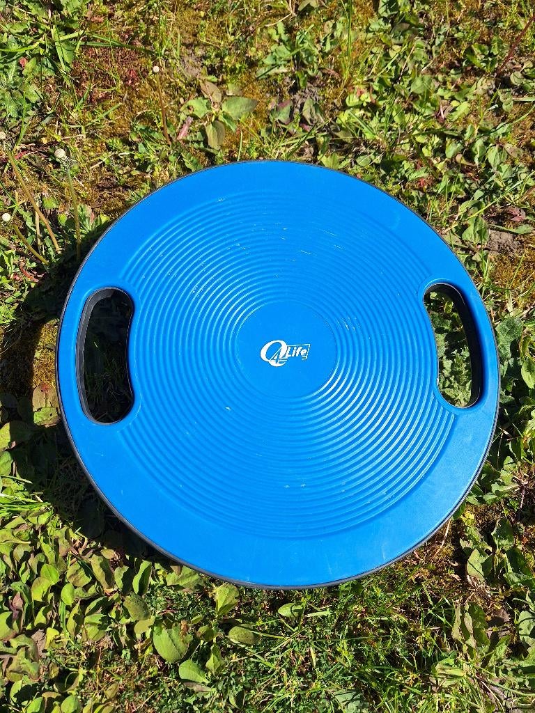 Balansbord, Sport en Fitness, Ophalen, Gebruikt, Balansbord