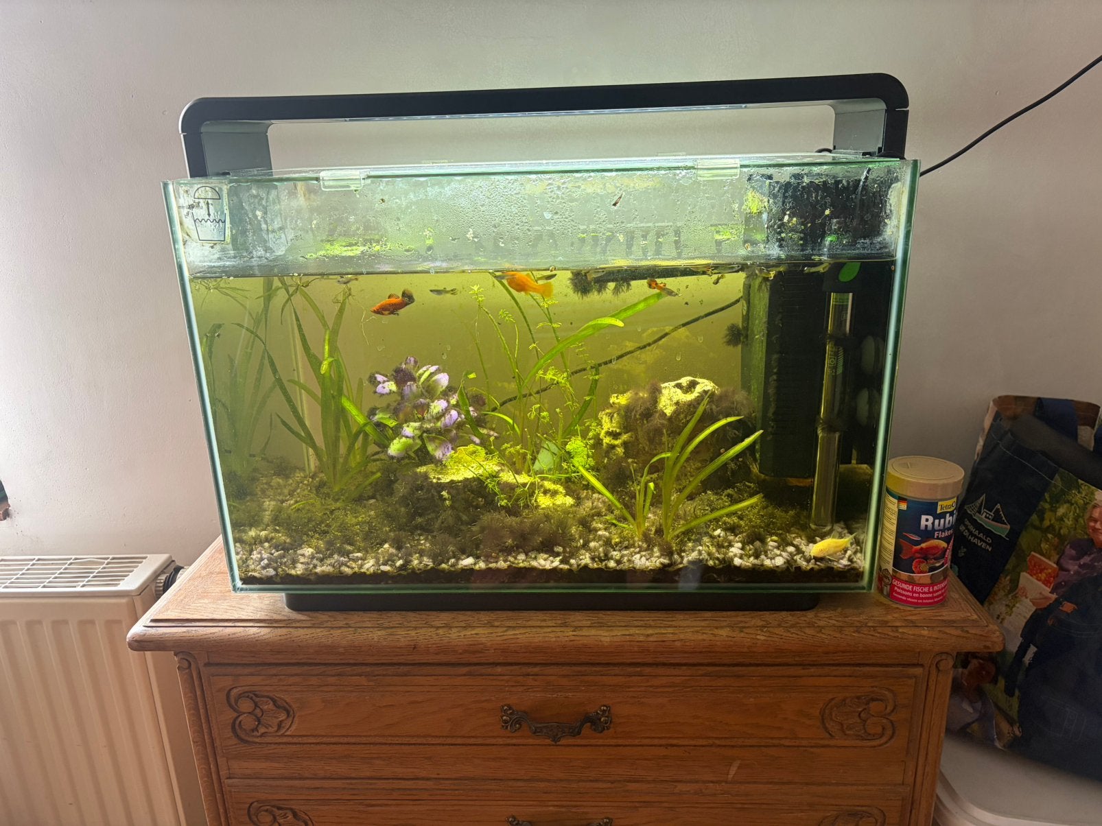 Aquarium incl vissen, Dieren en Toebehoren, Ophalen, Inclusief vissen, Zo goed als nieuw, Filter