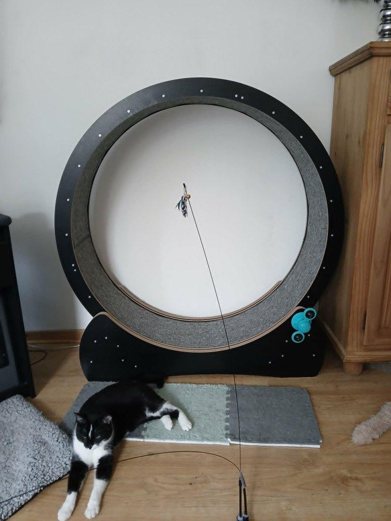 Roue d'exercices pour chats, Enlèvement, Comme neuf