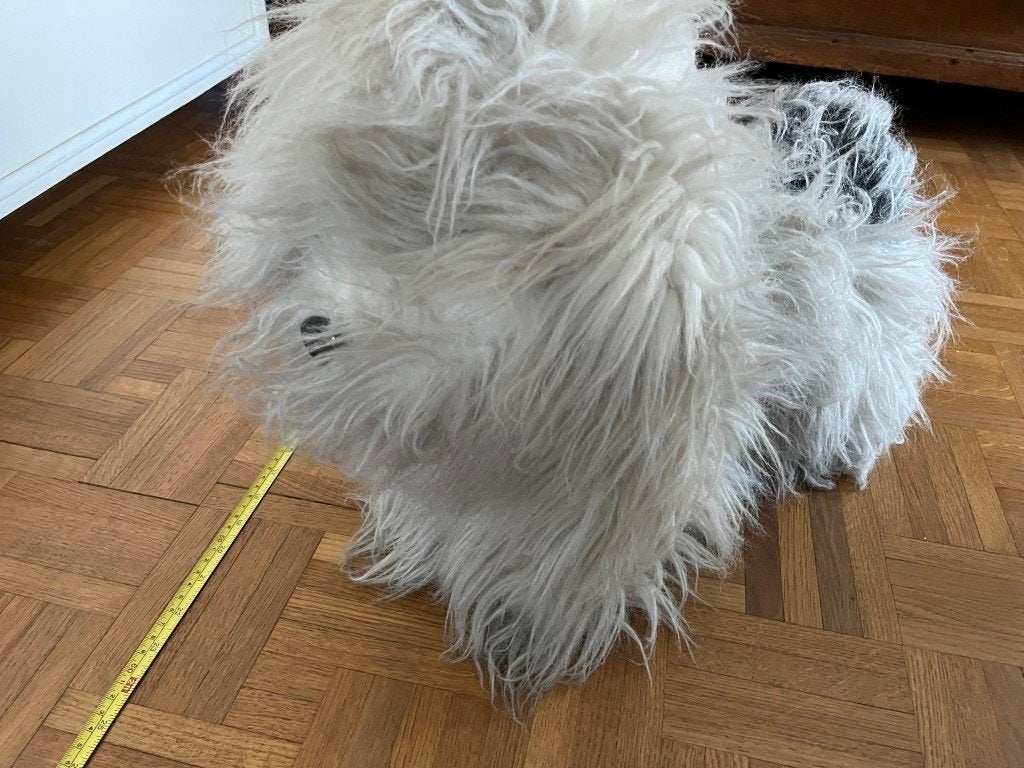 Pluche hond met lange haren ongeveer 58cm - Samson, Ophalen of Verzenden, Hond