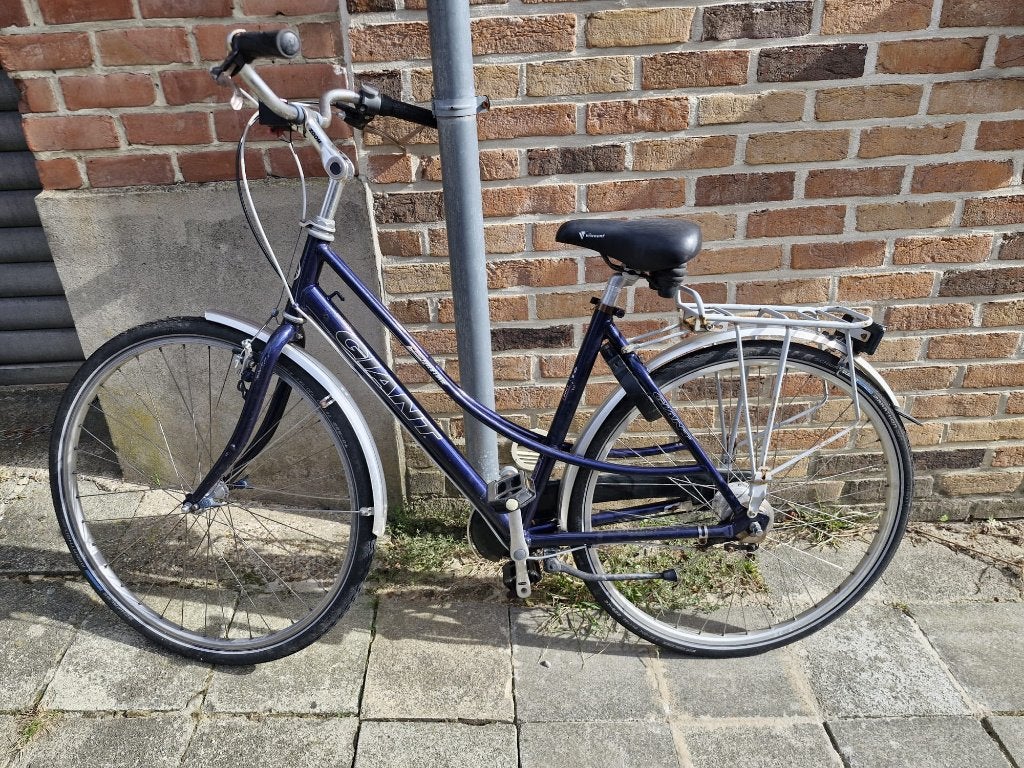 GIANT-fiets, Ophalen, Gebruikt, Overige typen