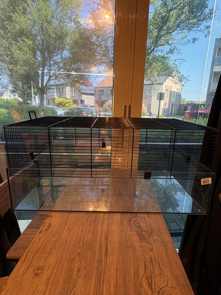 Hamsterkooi met glazen onderkant, Dieren en Toebehoren, Kooi, Gebruikt, Minder dan 75 cm, Muis