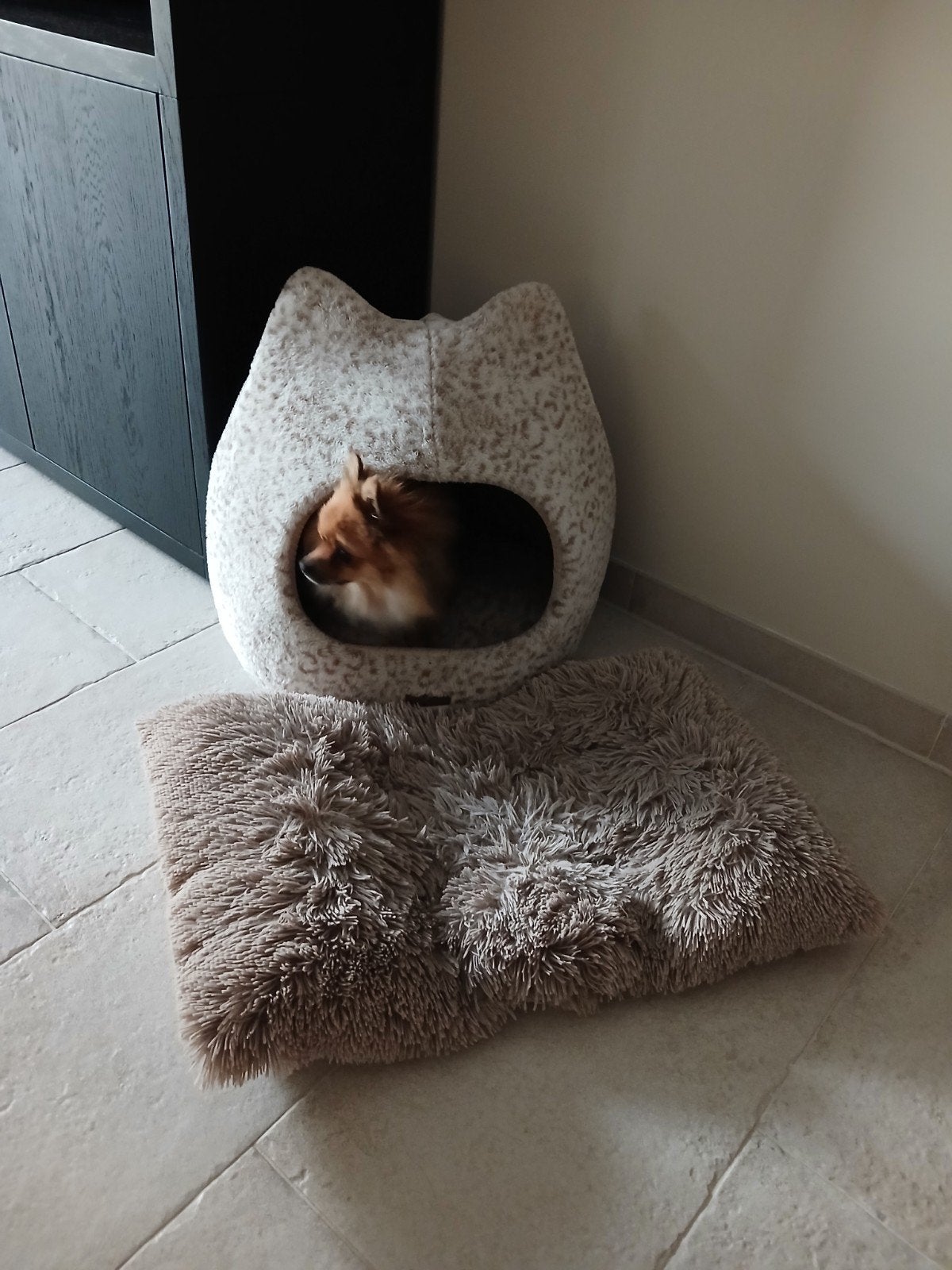 Puppy startpakket kleine honden, Enlèvement