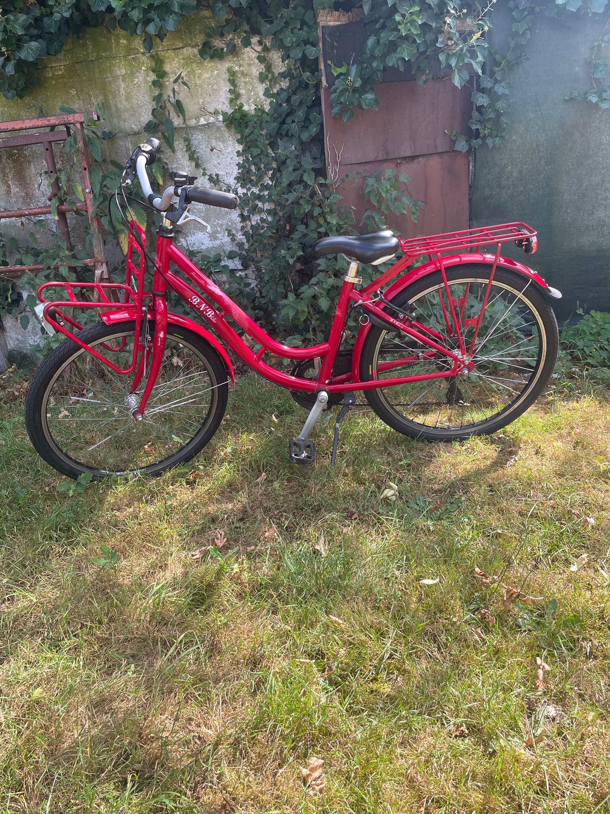 Meisjesfiets 24 inch BnB Bike, Ophalen, 24 inch, Velgrem, Versnellingen