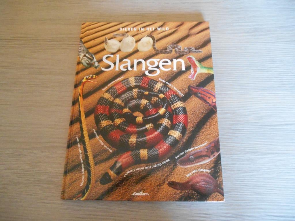 Kinderboek over slangen als nieuw voor 3 euro, Ophalen, Zo goed als nieuw, Reptielen of Amfibieën