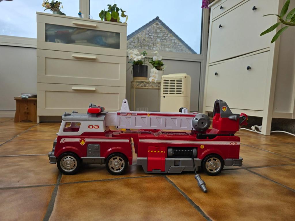 Camion pompier pat patrouille, Enlèvement