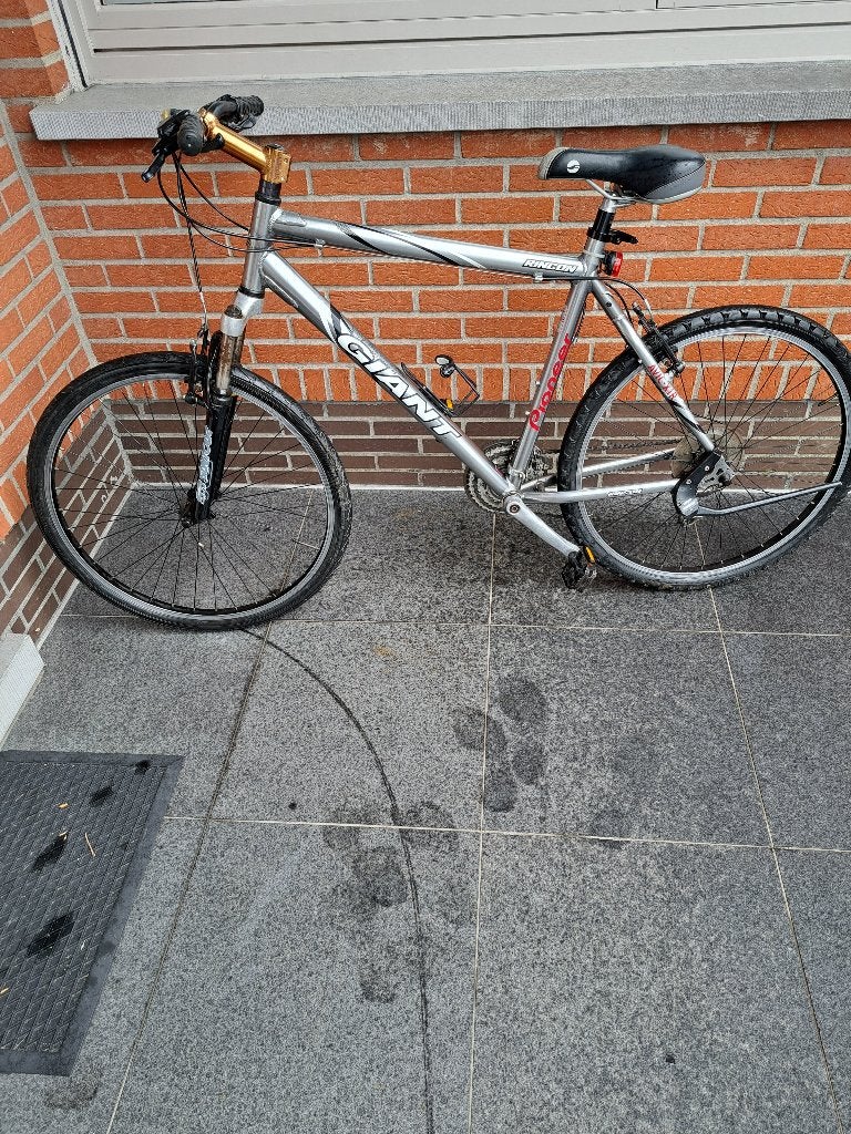 GIANT Mountainbike, Ophalen, Giant