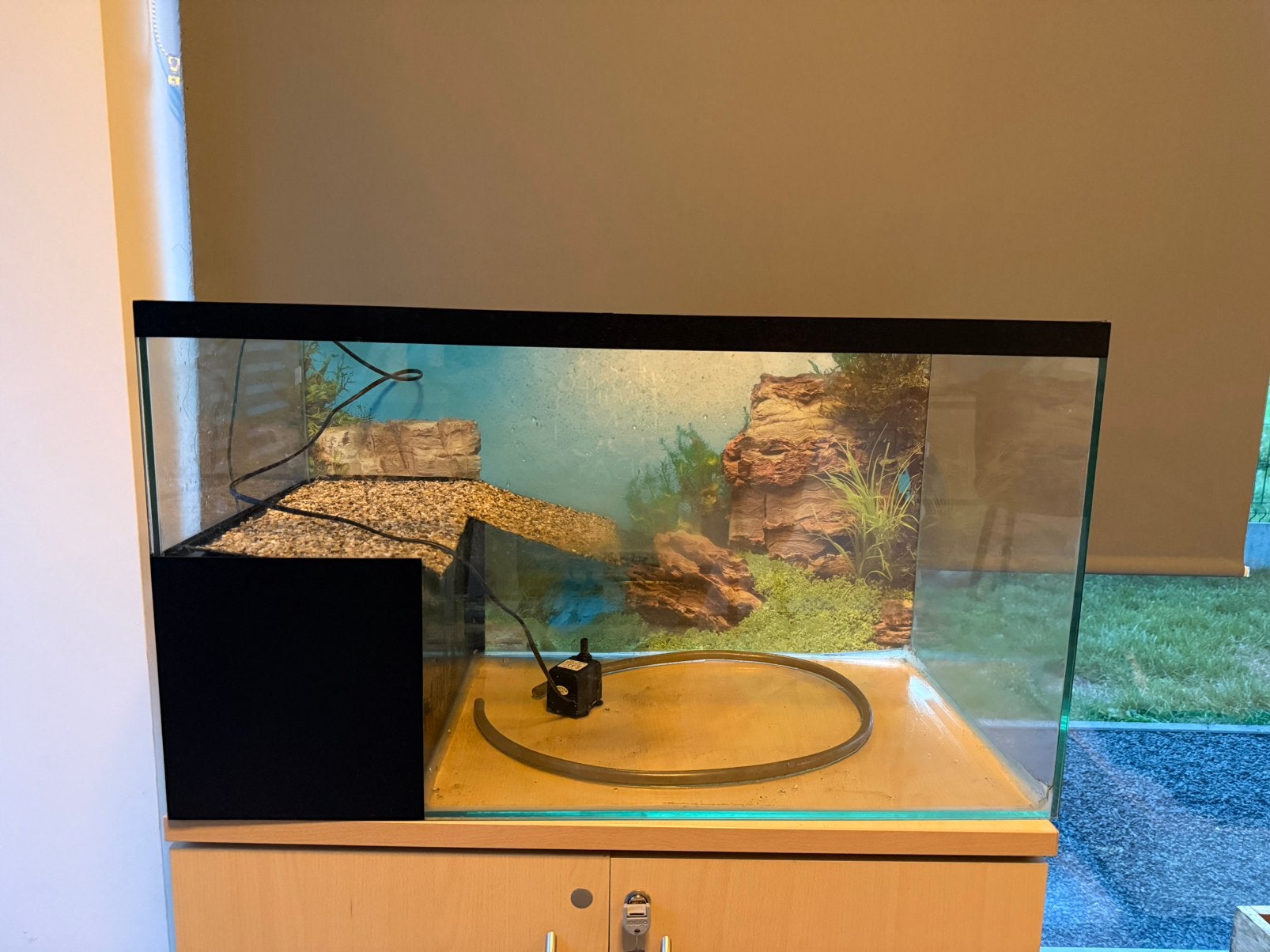Aquarium schildpad, Animaux & Accessoires, Enlèvement, Pompe, Comme neuf, Aquarium vide