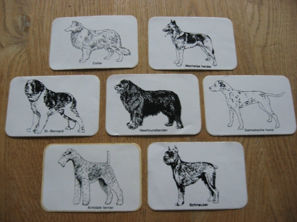 Vintage Stickers Verschillende Honden Rassen, Enlèvement ou Envoi, Neuf, Animal et Nature