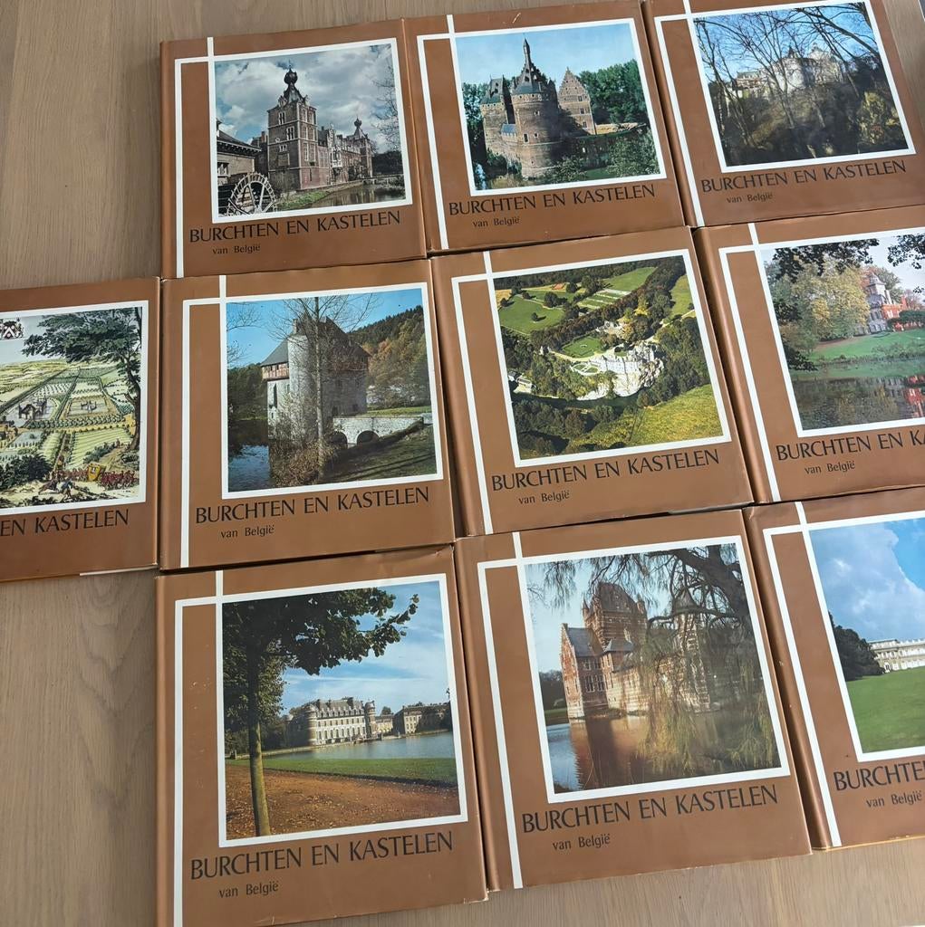 10 boeken Burchten en kastelen, Boeken, Prentenboeken en Plaatjesalbums, Ophalen of Verzenden, Gelezen