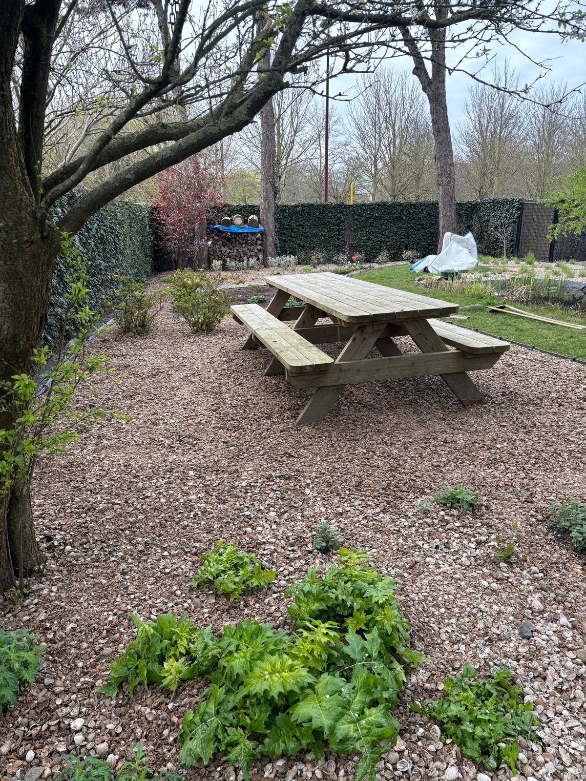 Heel grote sterke picknicktafel, Ophalen, Gebruikt, Rechthoekig, Hout