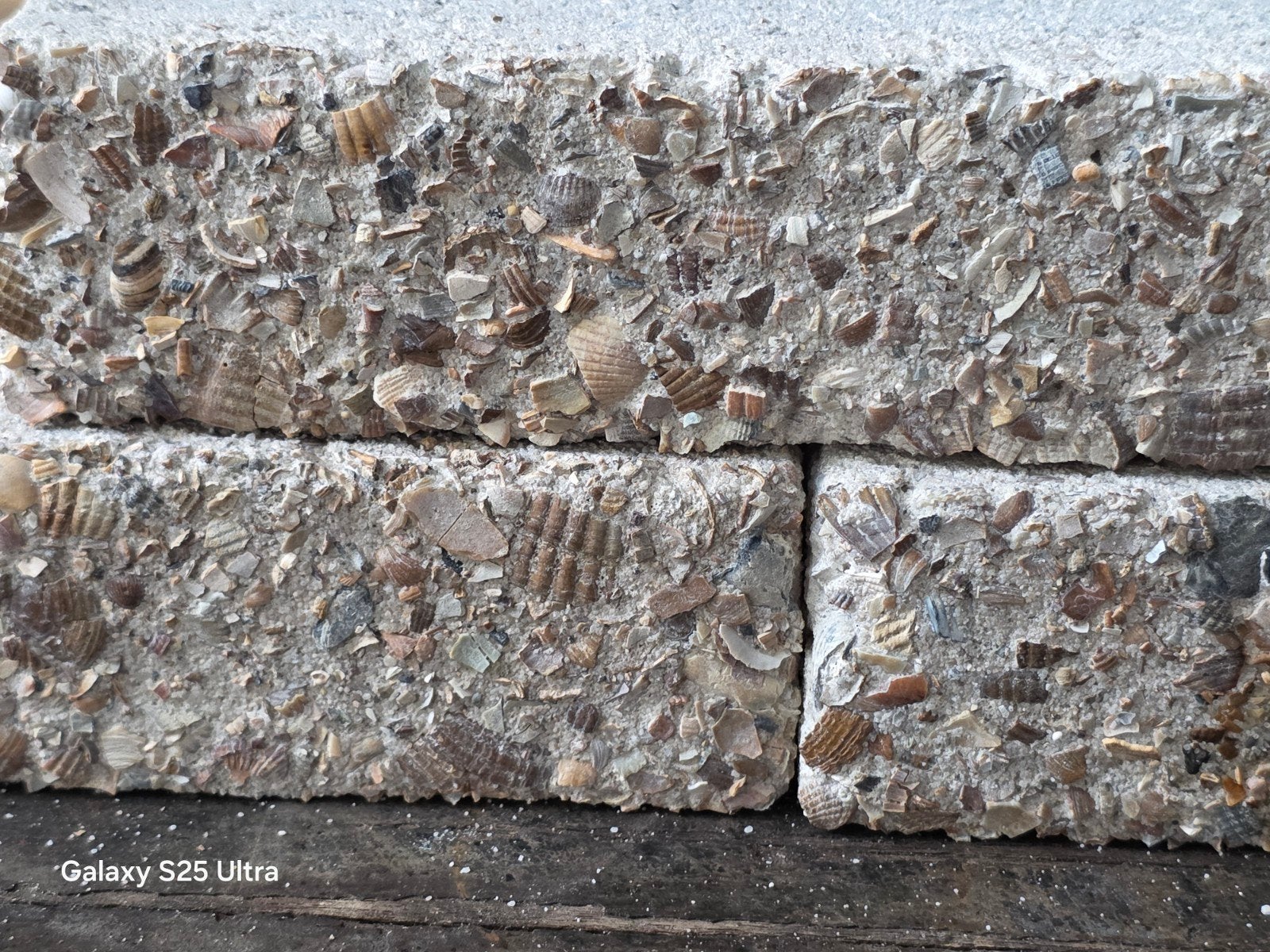 schelpen stenen +schijnvoegstenen, Tuin en Terras, Ophalen, Nieuw