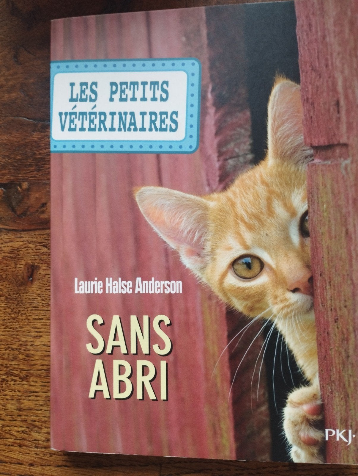 Les petits vétérinaires Sans-abri, Boeken, Ophalen of Verzenden