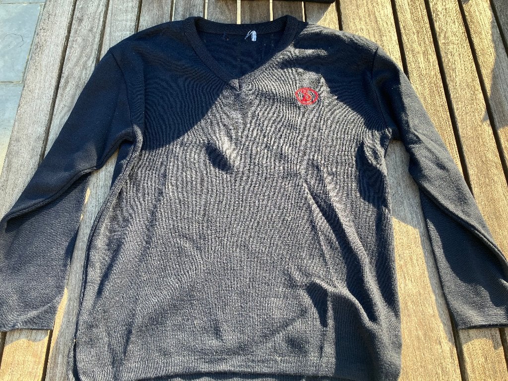 V-hals trui sint ludgardis, Enfants & Bébés, Vêtements enfant | Taille 152, Garçon ou Fille, Enlèvement ou Envoi, Pull ou Veste
