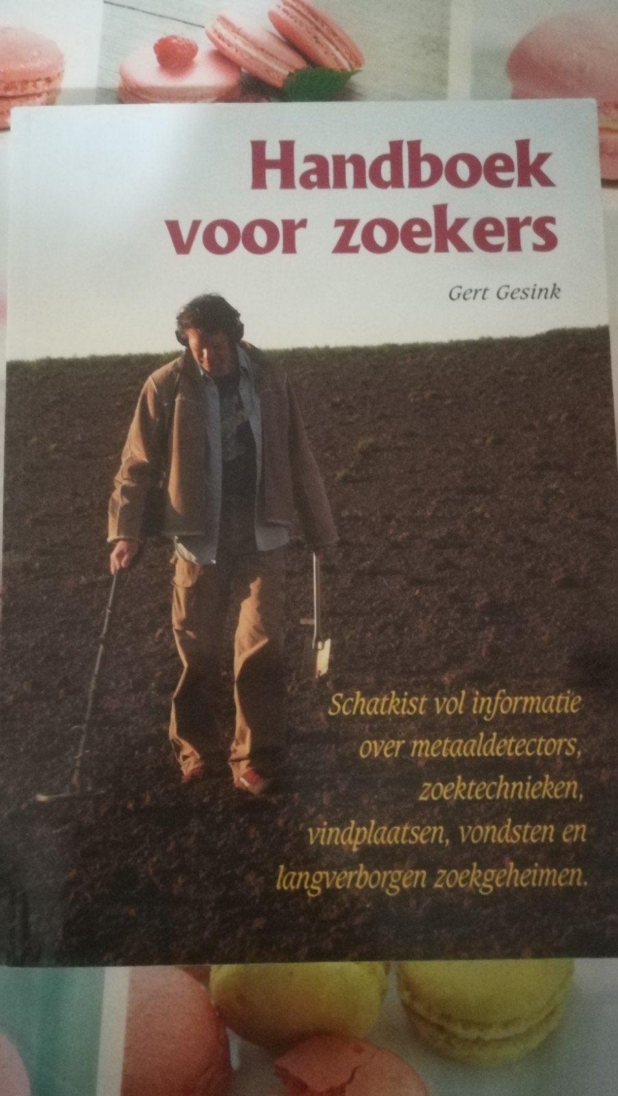 Gert Gesink - Handboek voor zoekers, Ophalen of Verzenden, Gert Gesink